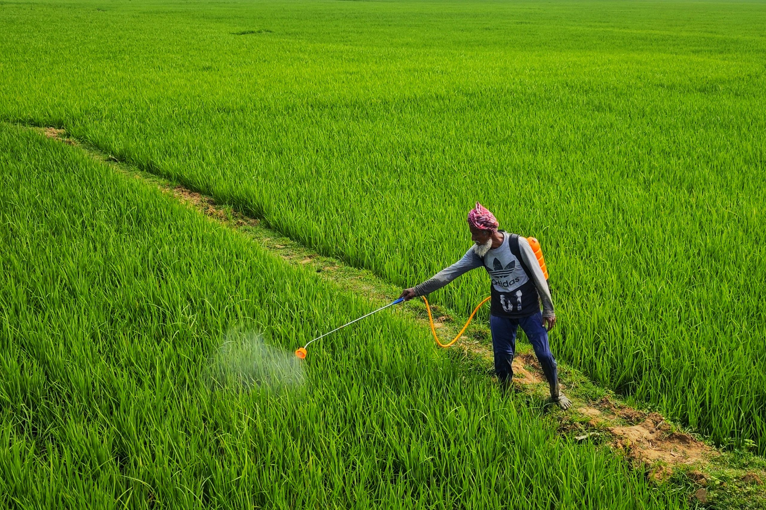Occupational pesticide exposure and Parkinson’s disease: A case-control study